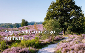 Regiobeeld Arnhem 2019-2030 - Menzis